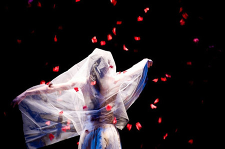 当代十年，不止戏剧——2014上海当代戏剧节十周年剧目推荐